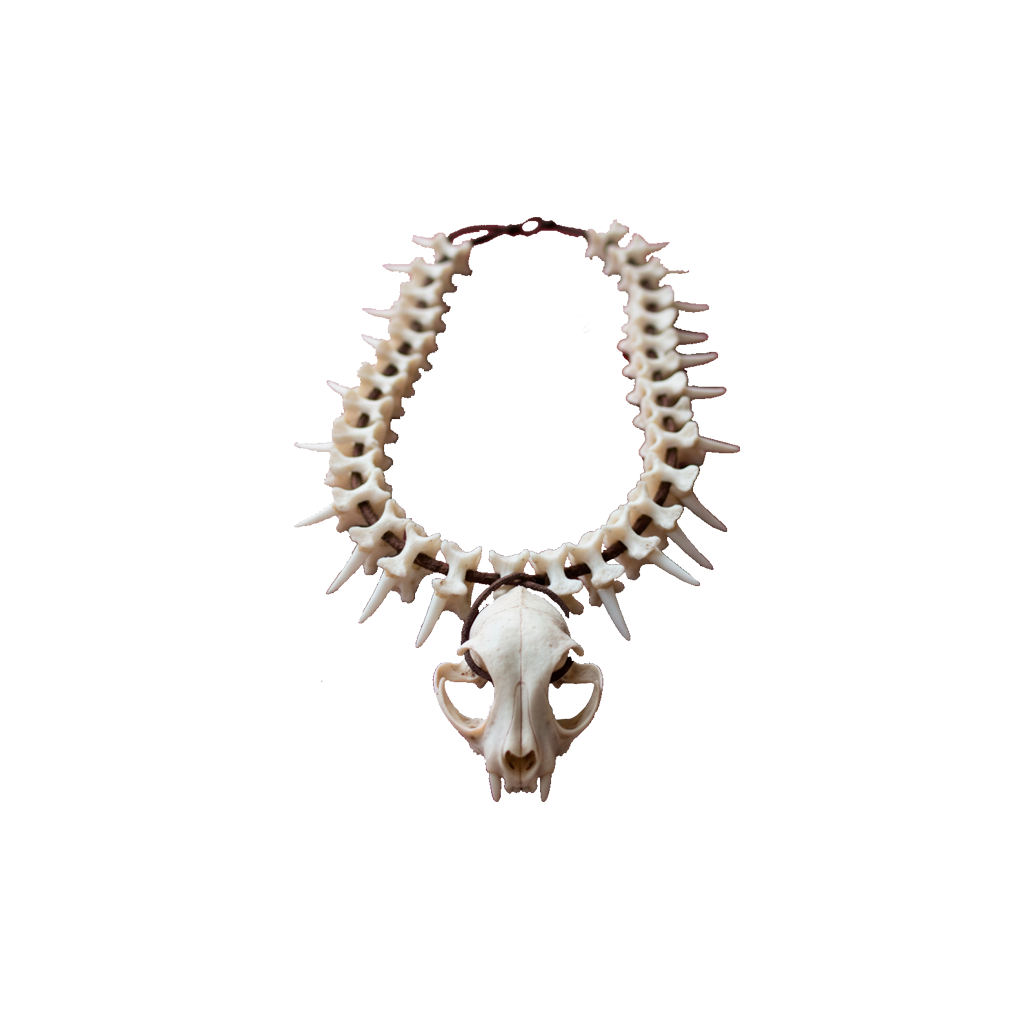 Amuleto Superior (Ritual)